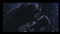 web_children_of_the_night011001.jpg